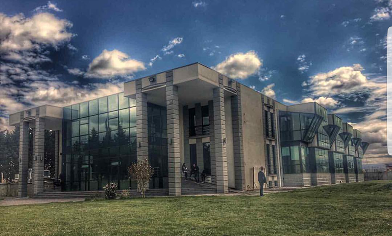 Grigol Robakidze University